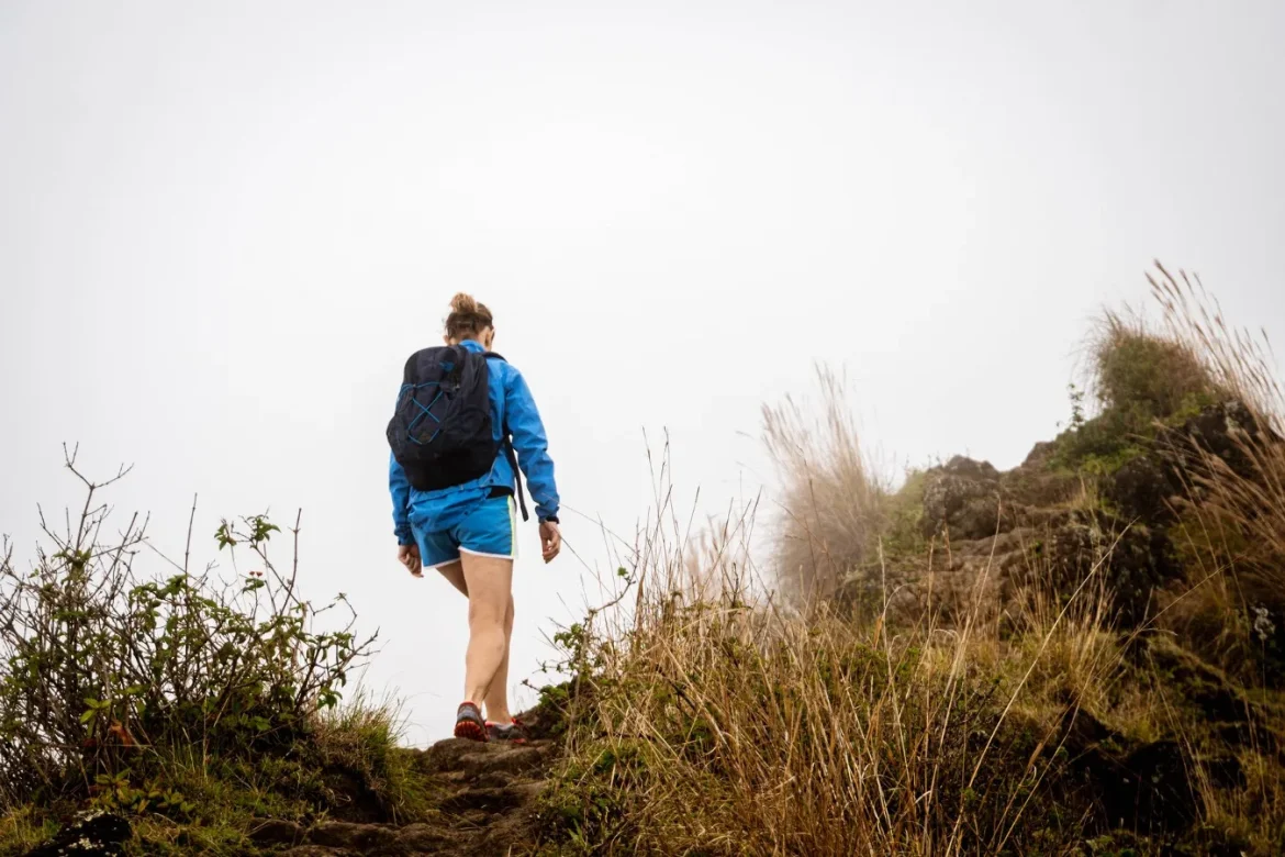 Best Power Bank for Hiking: How to Choose - best power bank for hiking